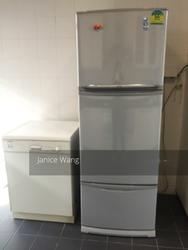 Holland Mansion (D10), Condominium #133870822